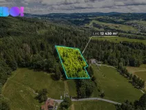 Prodej lesa, Písek, 12430 m2