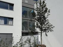 Pronájem bytu 2+kk, Ostrava - Slezská Ostrava, U Hájenky, 56 m2