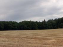 Prodej louky, Bystřice - Líštěnec, 327 m2