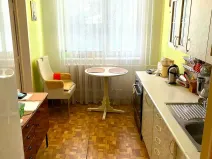 Prodej bytu 1+1, Brno, Ukrajinská, 47 m2