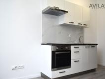Pronájem bytu 1+kk, Sázava, Poznaňská, 16 m2