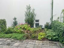 Pronájem bytu 1+kk, Plzeň - Jižní Předměstí, Na Jíkalce, 76 m2