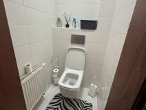 Pronájem bytu 3+kk, Opava, Horní náměstí, 109 m2