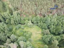 Prodej pozemku, Stříbro - Lhota u Stříbra, 10703 m2