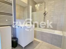 Pronájem bytu 2+1, Zlín, Dlouhá, 52 m2