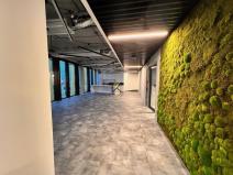 Pronájem kanceláře, Praha, Kladenská, 290 m2