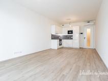 Pronájem bytu 1+kk, Praha - Žižkov, Malešická, 45 m2