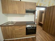 Pronájem bytu 1+kk, Ostrov - Horní Žďár, 27 m2