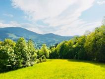 Prodej pozemku, Ostravice, 8947 m2