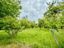 Prodej pozemku, Odry, 8311 m2