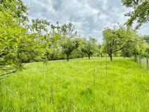 Prodej pozemku, Odry, 8311 m2