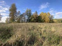 Prodej pozemku, Králíky - Horní Lipka, 3207 m2