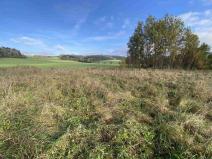 Prodej pozemku, Králíky - Horní Lipka, 3207 m2