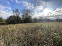 Prodej pozemku, Králíky - Horní Lipka, 3207 m2