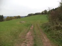 Dražba pozemku, Lázně Bělohrad, 2376 m2