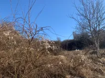 Dražba pozemku, Brandýs nad Labem-Stará Boleslav, 1631 m2