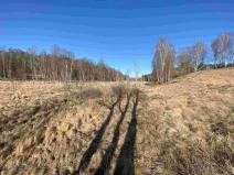 Prodej pole, Rozvadov - Svatá Kateřina, 60693 m2