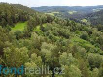 Prodej pozemku, Rejštejn, 5171 m2
