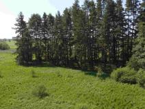 Prodej pozemku, Jílovice, 20535 m2