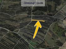Prodej lesa, Lomy, 7558 m2