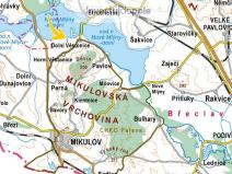 Prodej pole, Dolní Věstonice, 3751 m2