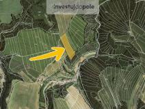 Prodej pole, Letovice - Slatinka, 19138 m2