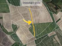 Prodej pole, Velenice, 1300 m2