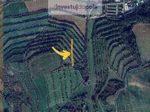 Prodej pozemku, Boršice, 1285 m2