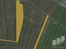 Prodej pole, Dolce, 31522 m2