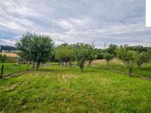 Prodej pozemku pro bydlení, Zruč nad Sázavou, 4376 m2