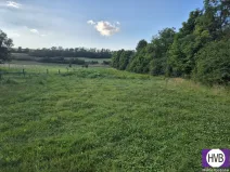 Prodej pozemku pro bydlení, Blevice, 1000 m2