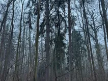 Prodej pozemku, Třebechovice pod Orebem, 14875 m2