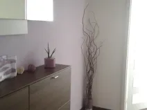 Pronájem bytu 2+kk, Brno, Svážná, 49 m2