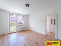 Prodej bytu 1+1, Vyškov - Dědice, 33 m2