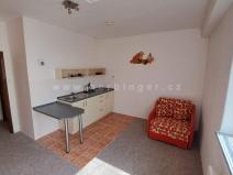 Prodej bytu 1+kk, Krásná, 25 m2