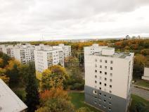 Prodej bytu 3+1, Praha - Žižkov, Buková, 80 m2