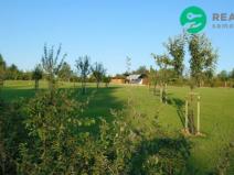 Prodej pozemku pro bydlení, Jivno, 5829 m2