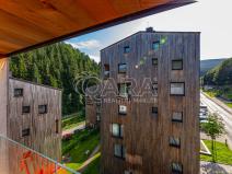 Pronájem bytu 1+kk, Pec pod Sněžkou, 38 m2