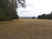 Dražba zahrady, Heřmanova Huť, 1100 m2