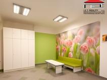 Pronájem ordinace, Brno, Orlí, 113 m2