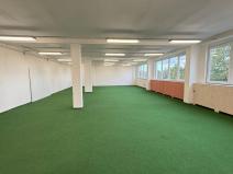 Pronájem obchodního prostoru, Polepy, 1200 m2