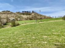 Prodej louky, Rajnochovice, 4851 m2