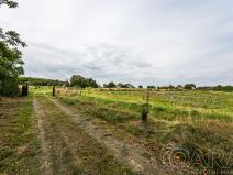 Prodej pozemku pro bydlení, Samšina, 22154 m2