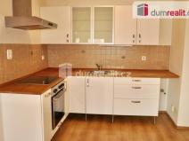 Pronájem bytu 1+kk, Ústí nad Labem - Ústí nad Labem-centrum, Důlce, 43 m2