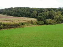 Dražba pole, Kostelec nad Černými lesy, 12366 m2