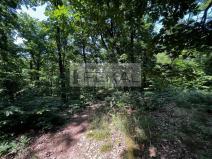 Prodej lesa, Český Dub - Smržov, 57121 m2