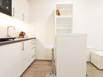Pronájem bytu 1+kk, Brno - Lesná, Halasovo náměstí, 23 m2