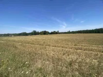 Dražba pole, Ostrovec, 34981 m2