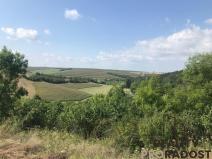 Prodej zahrady, Kobeřice u Brna, 2052 m2