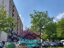 Pronájem bytu 3+1, Kroměříž, Nitranská, 84 m2